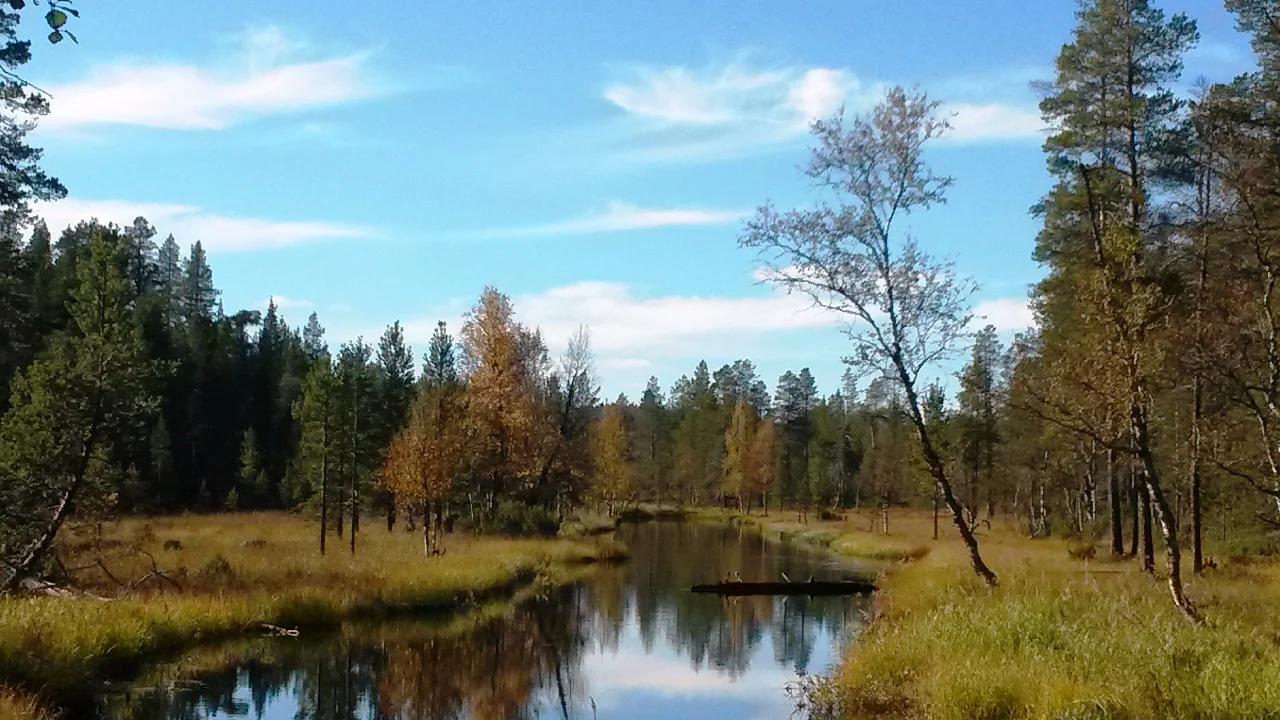 hiking in Urho Kekkonen National Park.jpg