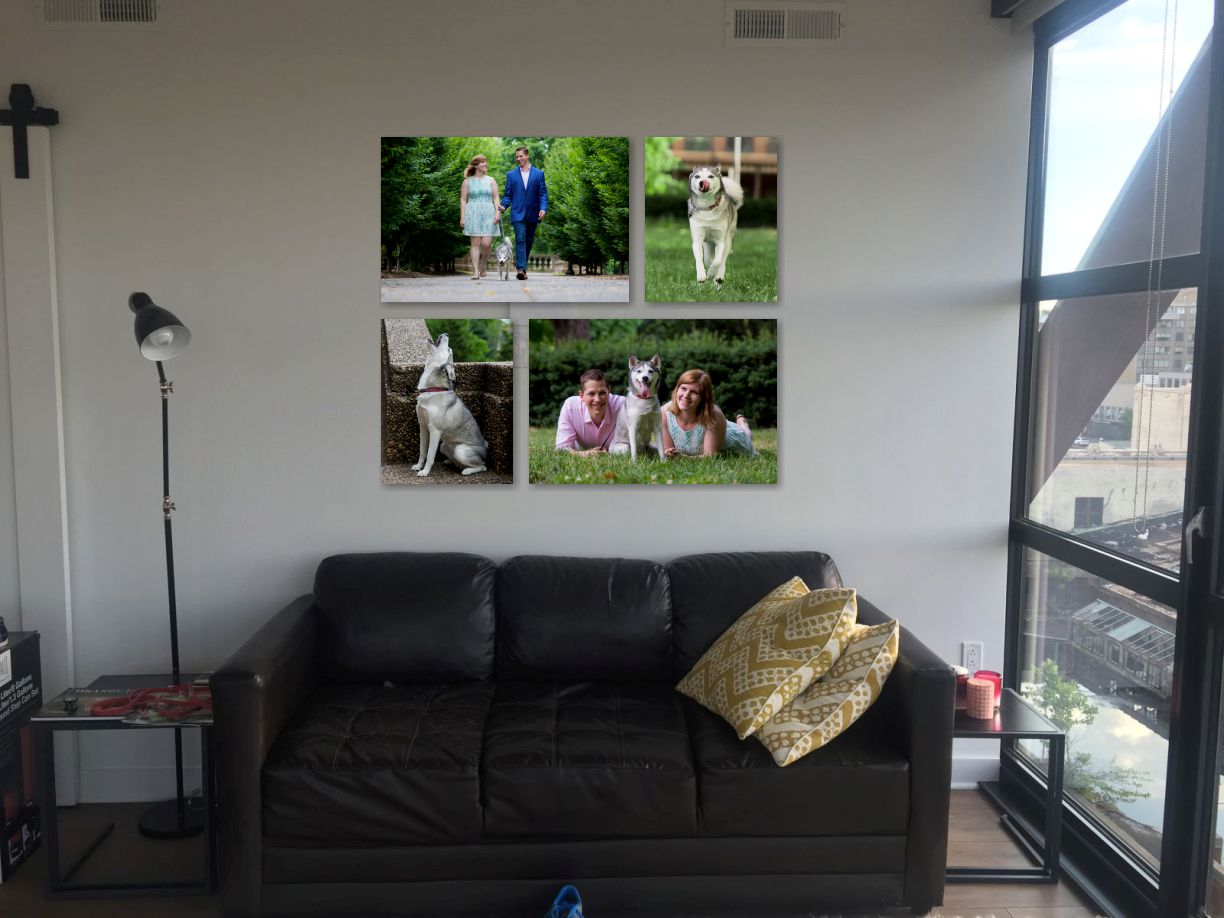 Digital rendition of Washington, DC home with pet photography and family portraits on the wall. Images added using ProSelect.