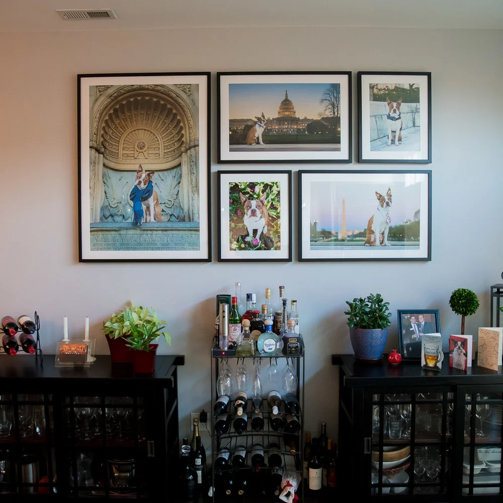 Picture Frame Pet Portraits DC Monuments.jpg