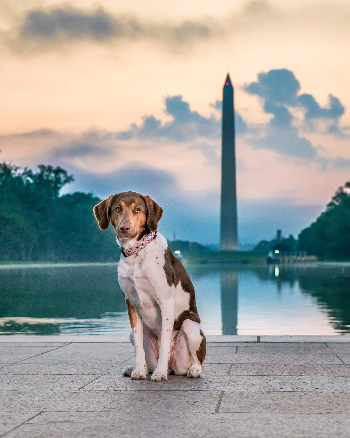 Here's another of Olivia, but this one is at sunrise with the Washington Monumnet in the background