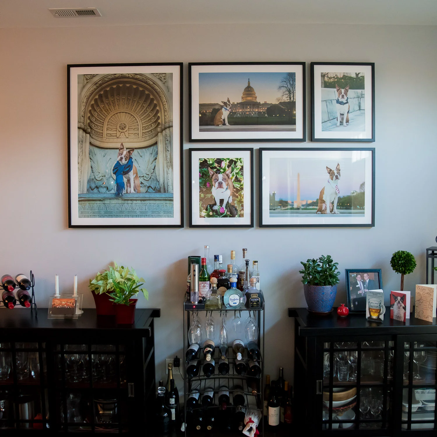 #002 - Framed Prints By Pet Photographer.jpg