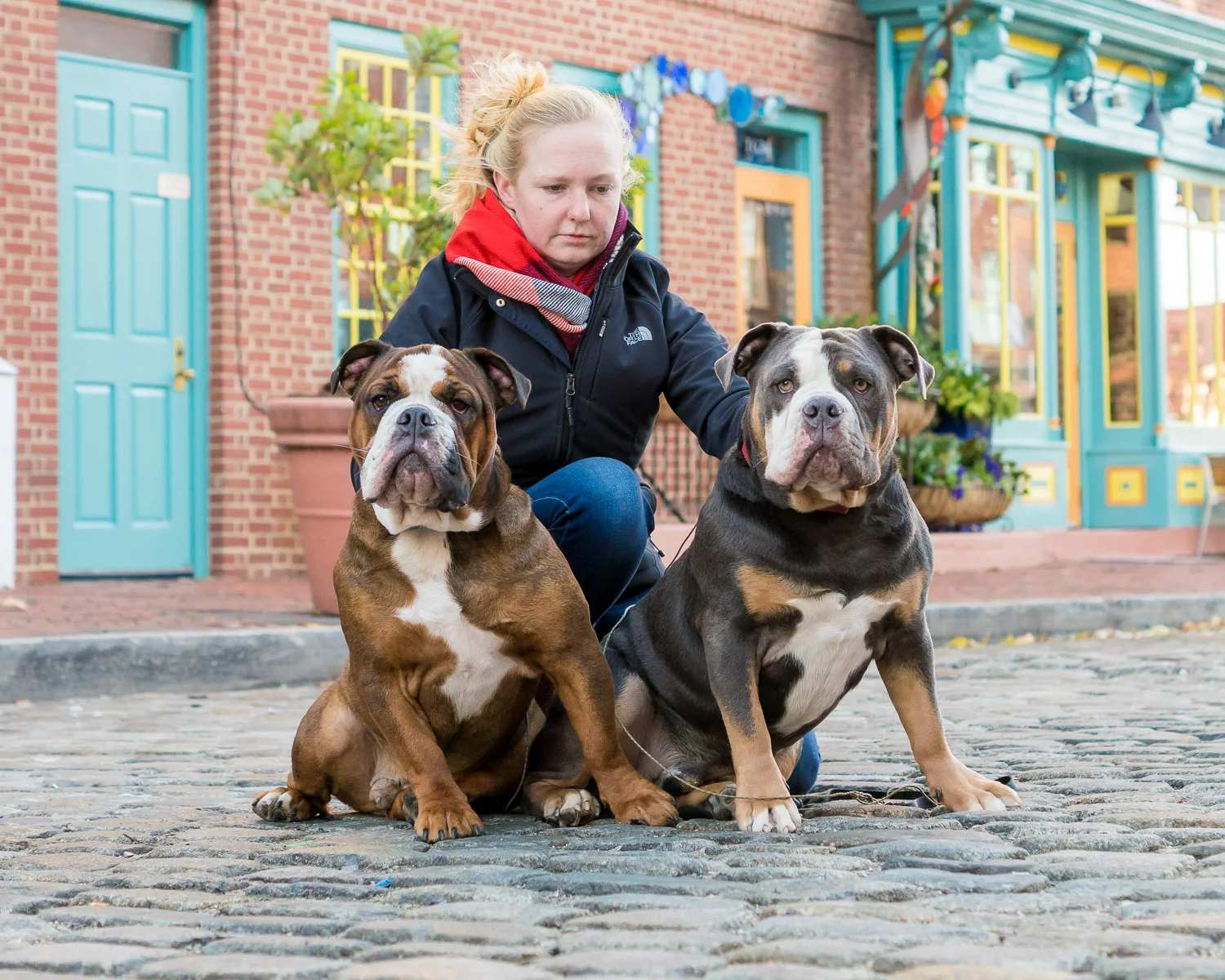 Here Heather is holding the dogs in place