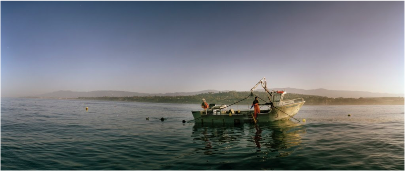 Boat on the water.png