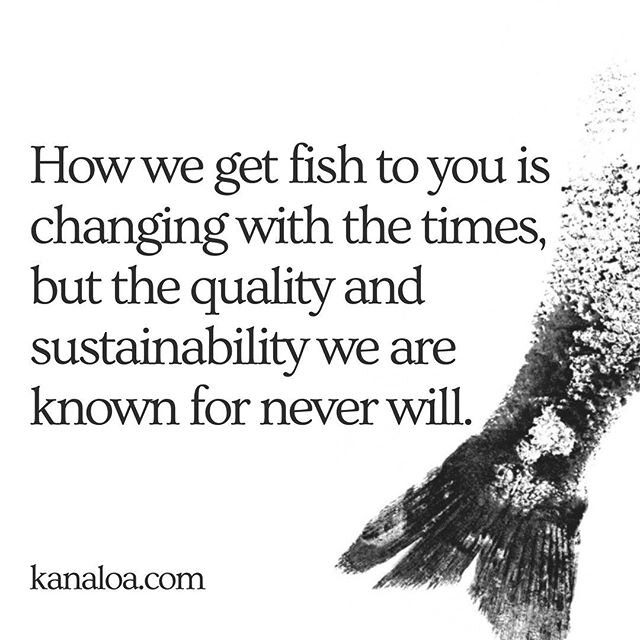 We are excited to announce you can now purchase seafood from the market from anywhere in the U.S. on our website! 🐟 Go to kanaloa.com and click the &lsquo;SHOP&rsquo; button. Place your order by 12pm PST to receive your fish the next day 🤙🏼📦 PROM