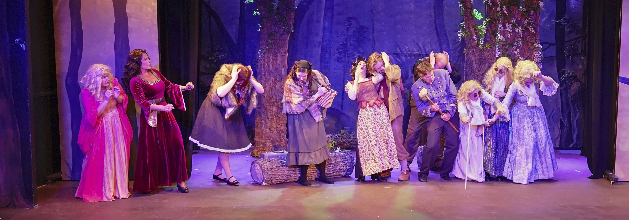 Into The Woods-website 6.jpeg