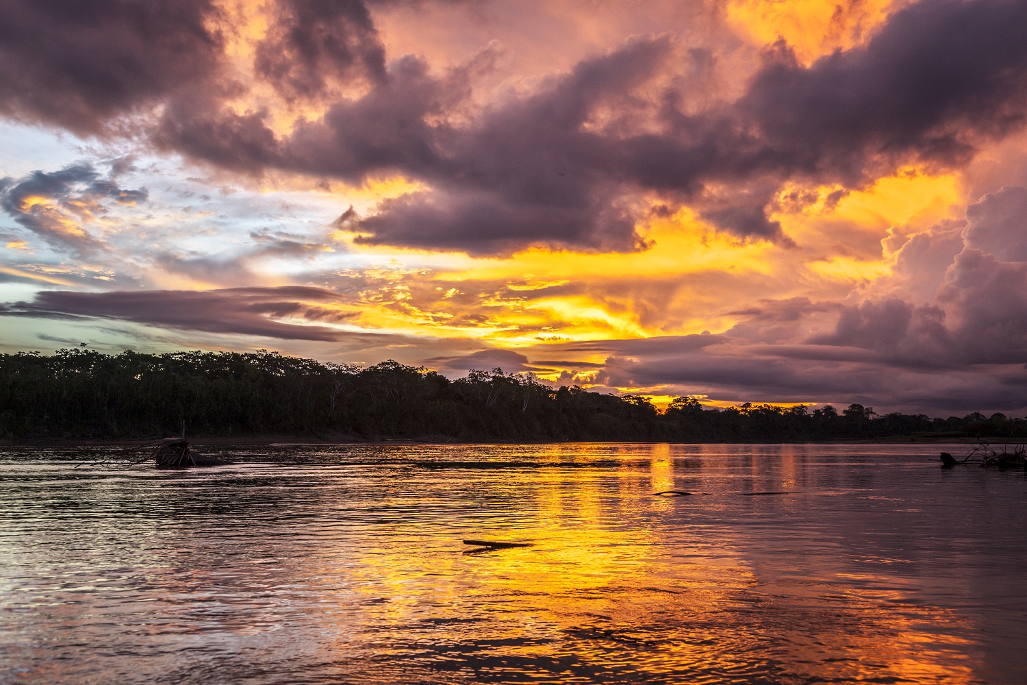 Amazon Sunset