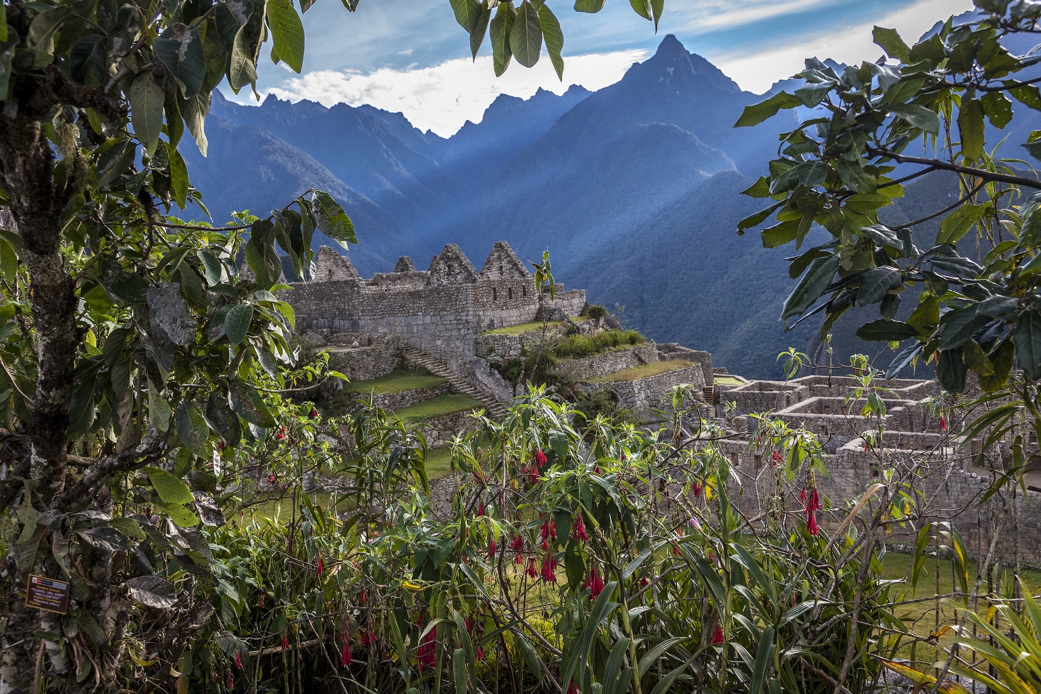 Machu Picchu