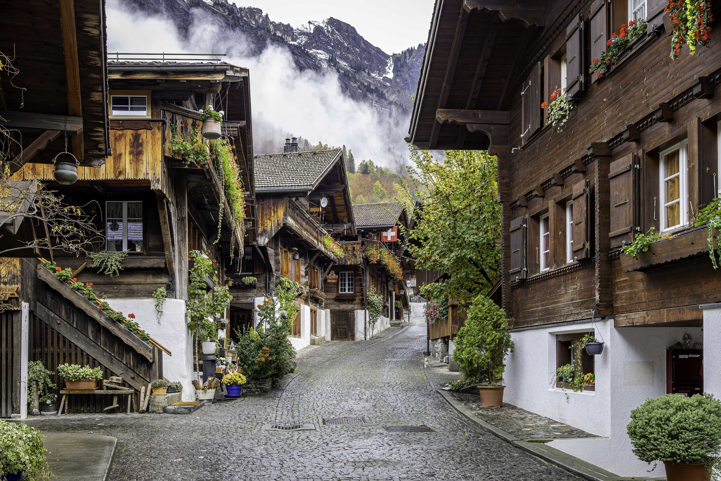 Swiss Village Street