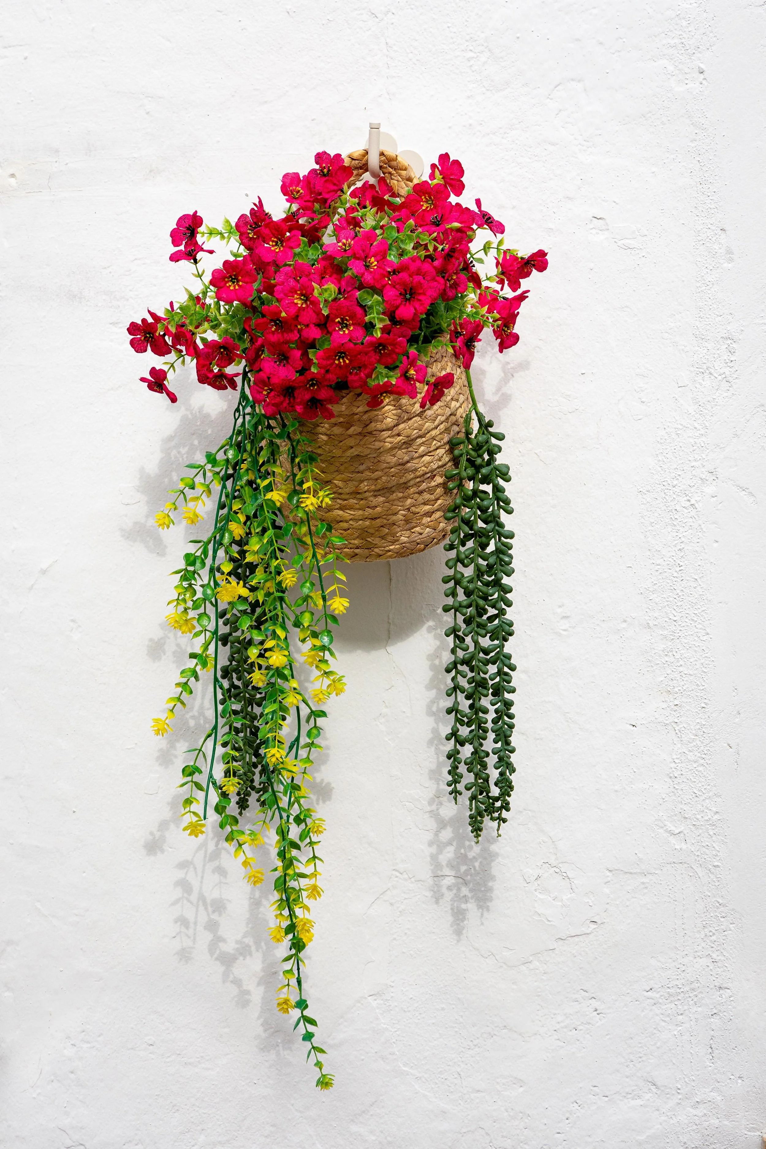 On a White Wall