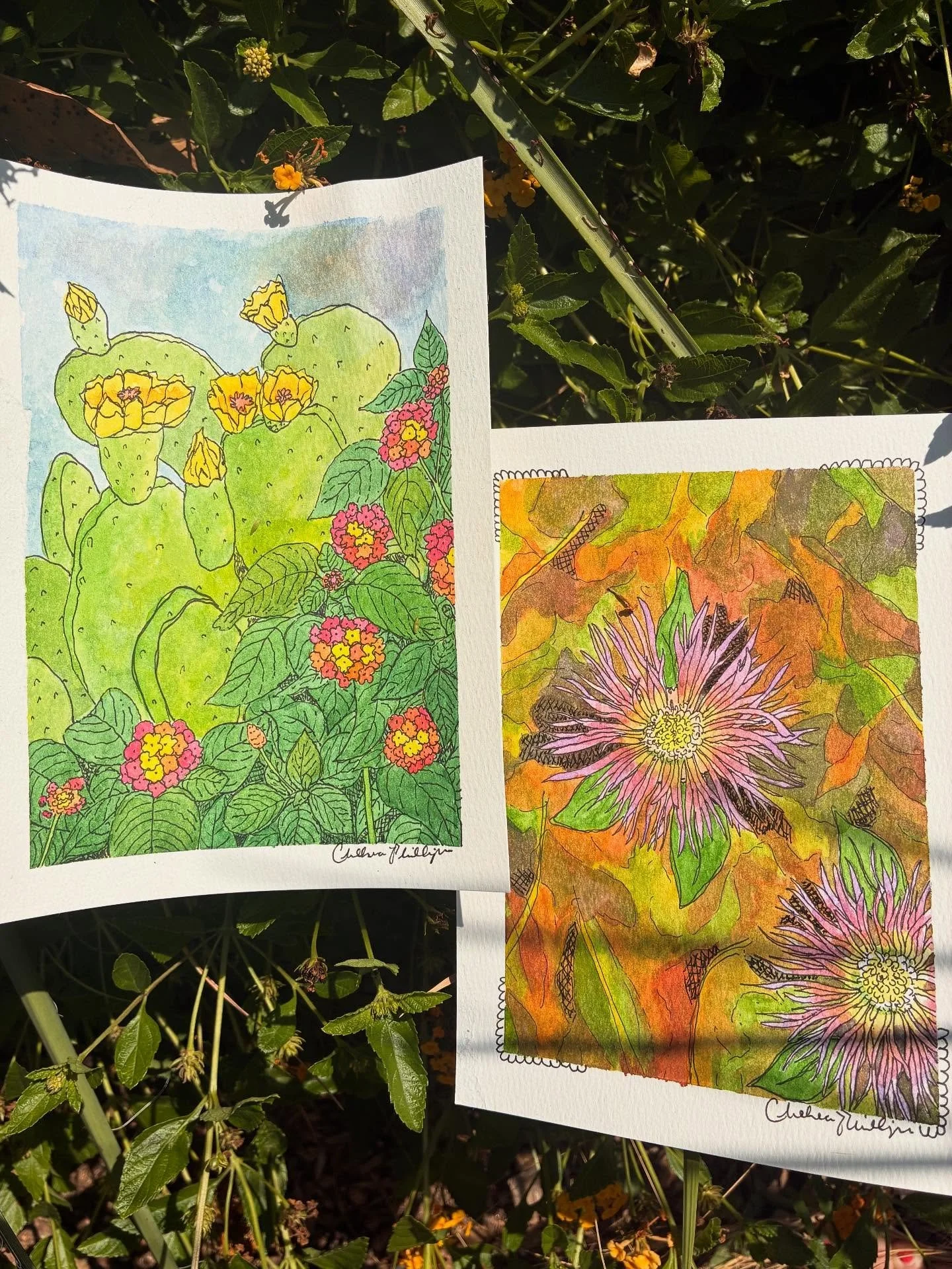 More things 🌼 ❤️ I hope compassion becomes cool again