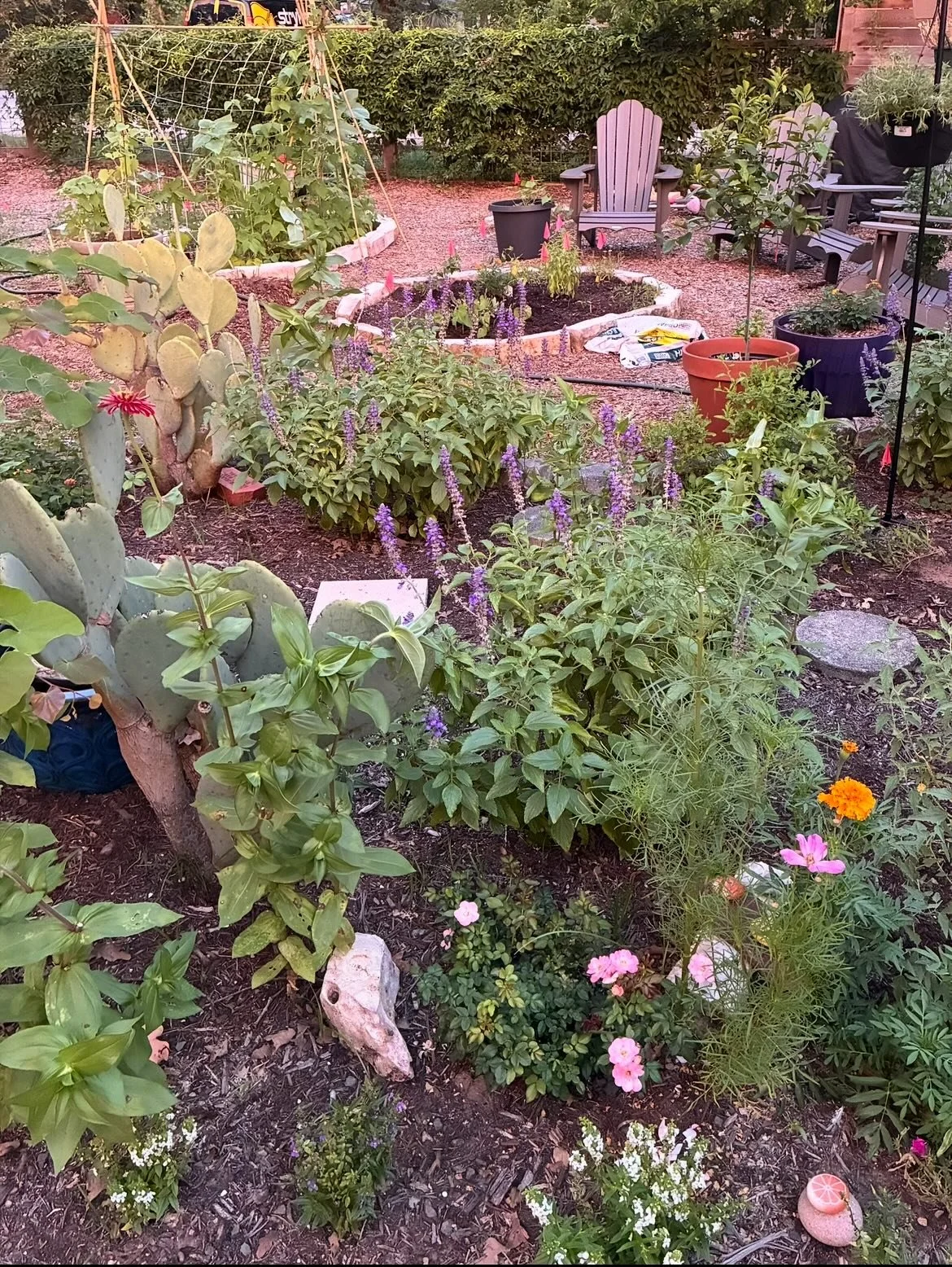 I spent much of the spring and summer on my new gardening obsession. And holy crap I love gardening. I&rsquo;m communicating with plants whenever I walk through our garden, answering their reaching out (leggy-ness is usually a sign of needing more li