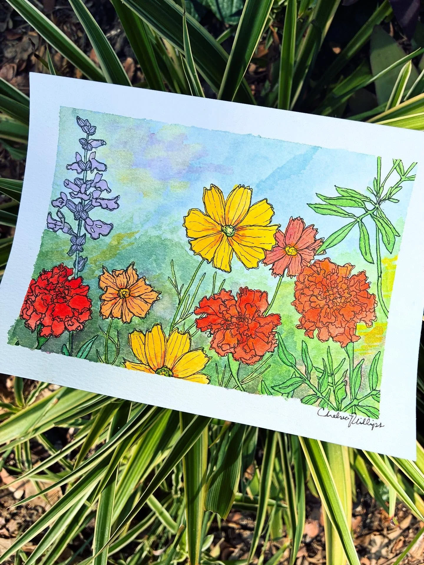 Have a wonderful day! 🌼