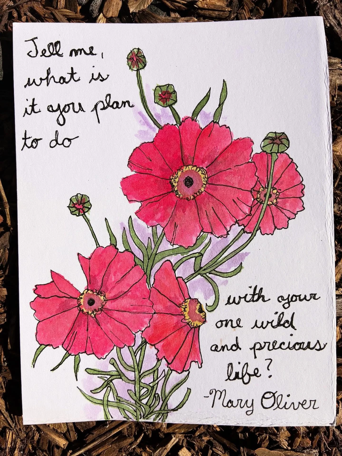&ldquo;Tell me, what is it you plan to do with your one wild and precious life?&rdquo; -Mary Oliver
