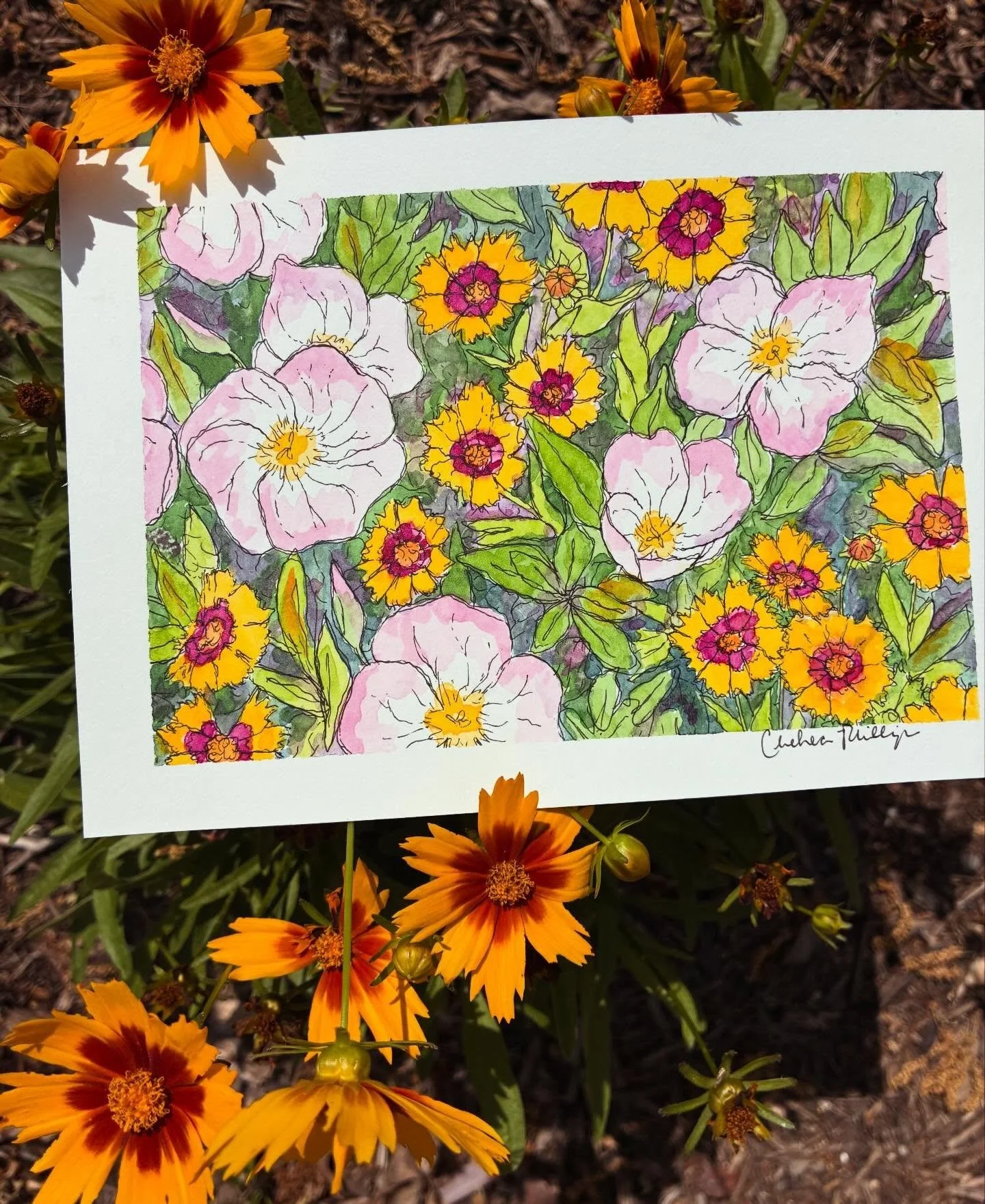 It is spring!! Everything is coming up in my garden and flowers are starting to bloom. I planted some plains coreopsis and evening primrose and they are all just exploding. So fun painting flowers from life! 

#austinartist
#texasnativeflowers
#texas