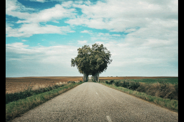tree+tunnel3-opti2.gif