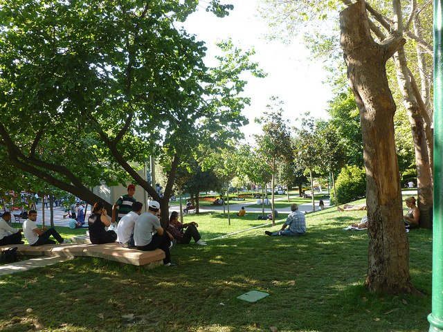 GEZI PARK / TAKSIM, ISTANBUL. Source: Flickr.com