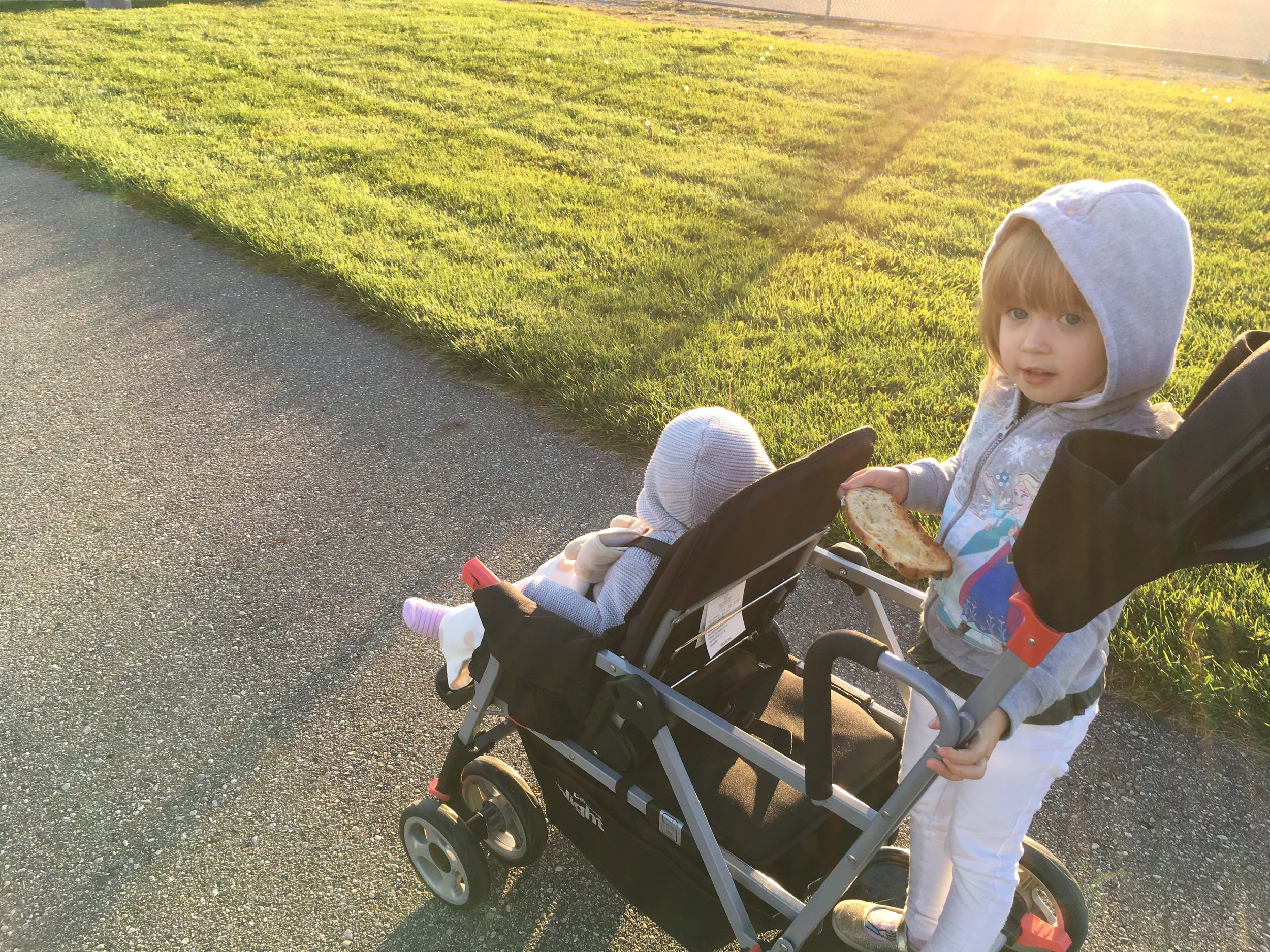The girls on the stroller at the park (Troy, MI)