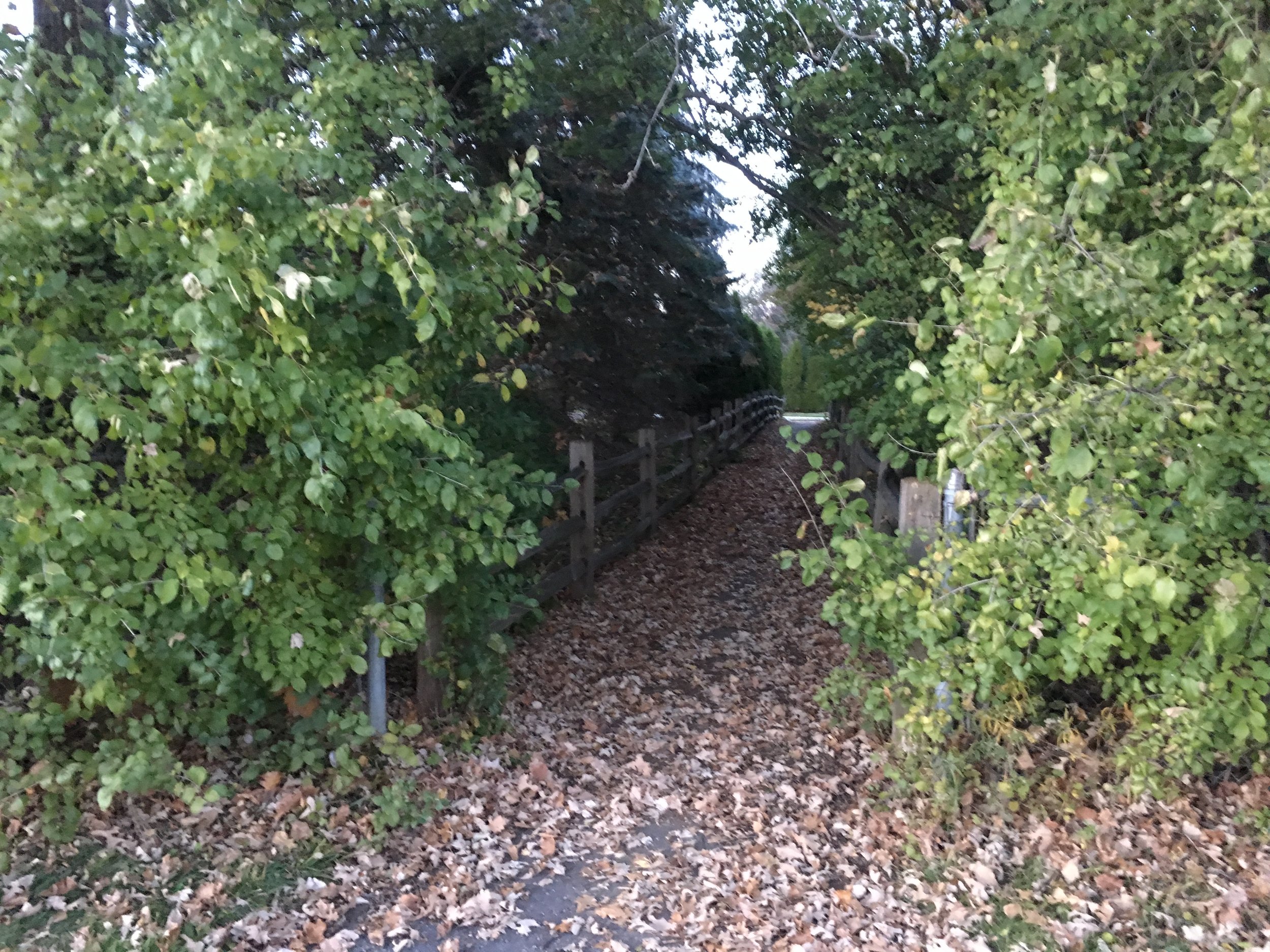Accessible path to the park (Troy, MI)