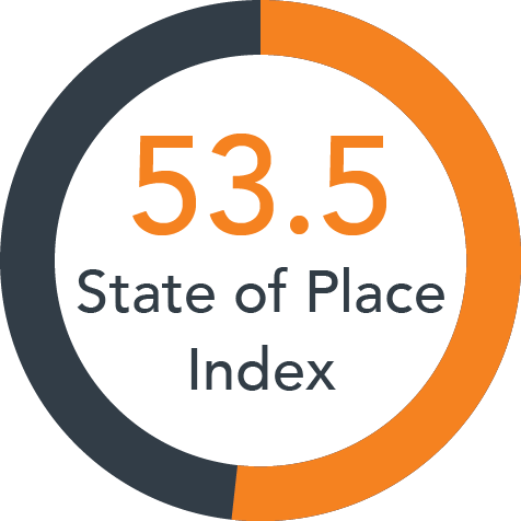 Sample State of Place Index