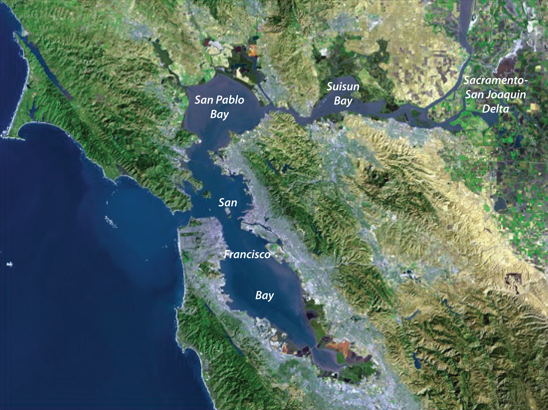 Sacramento San Joaquin Delta