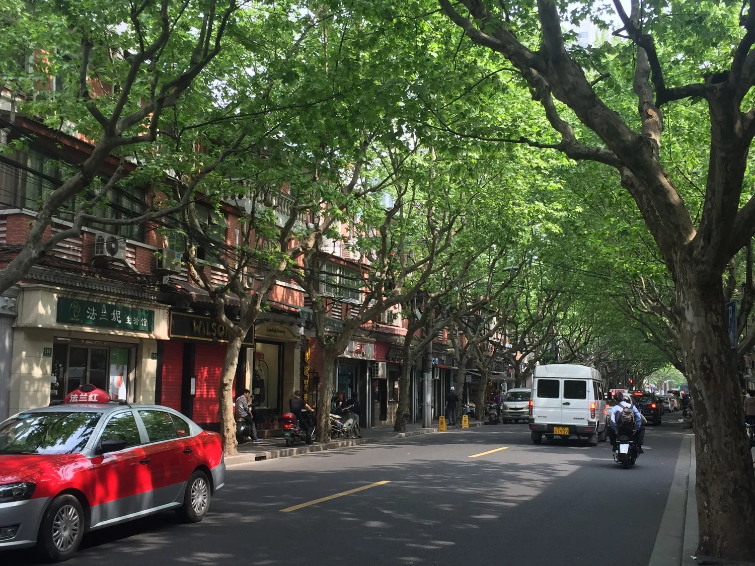shanghai.jpeg