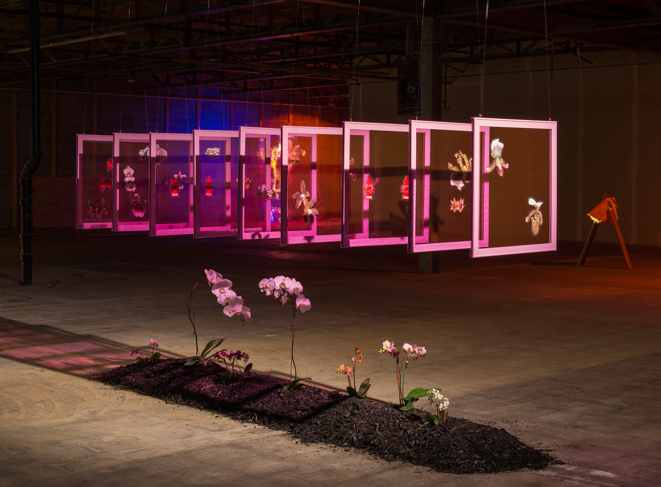  Strawberry milk and common phalaenopsis orchids are at the heart of  Indoor Culture . Delicate, feminine, and sweet, while simultaneously cultured indoors in controlled factory farms and nurseries, dyed, flavored, and scented artificially, there is 