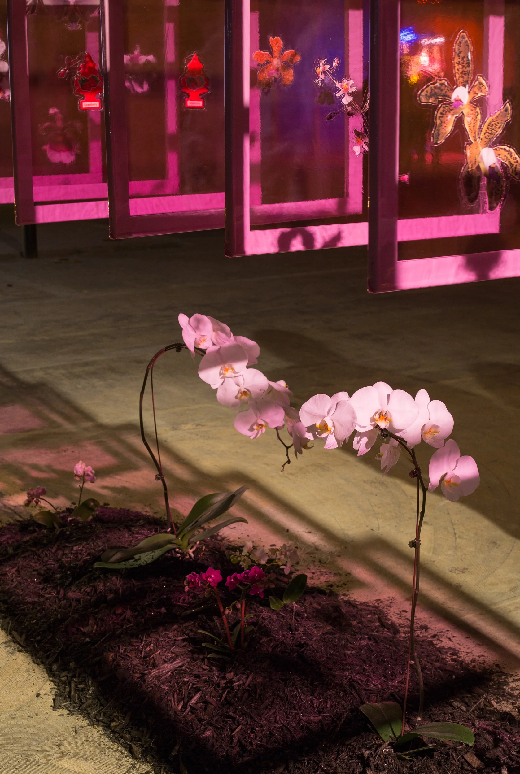  Indoor Culture, 1 - 9, Warehouse Pop-up Space, Denver, CO  photo Matthew Pevear 