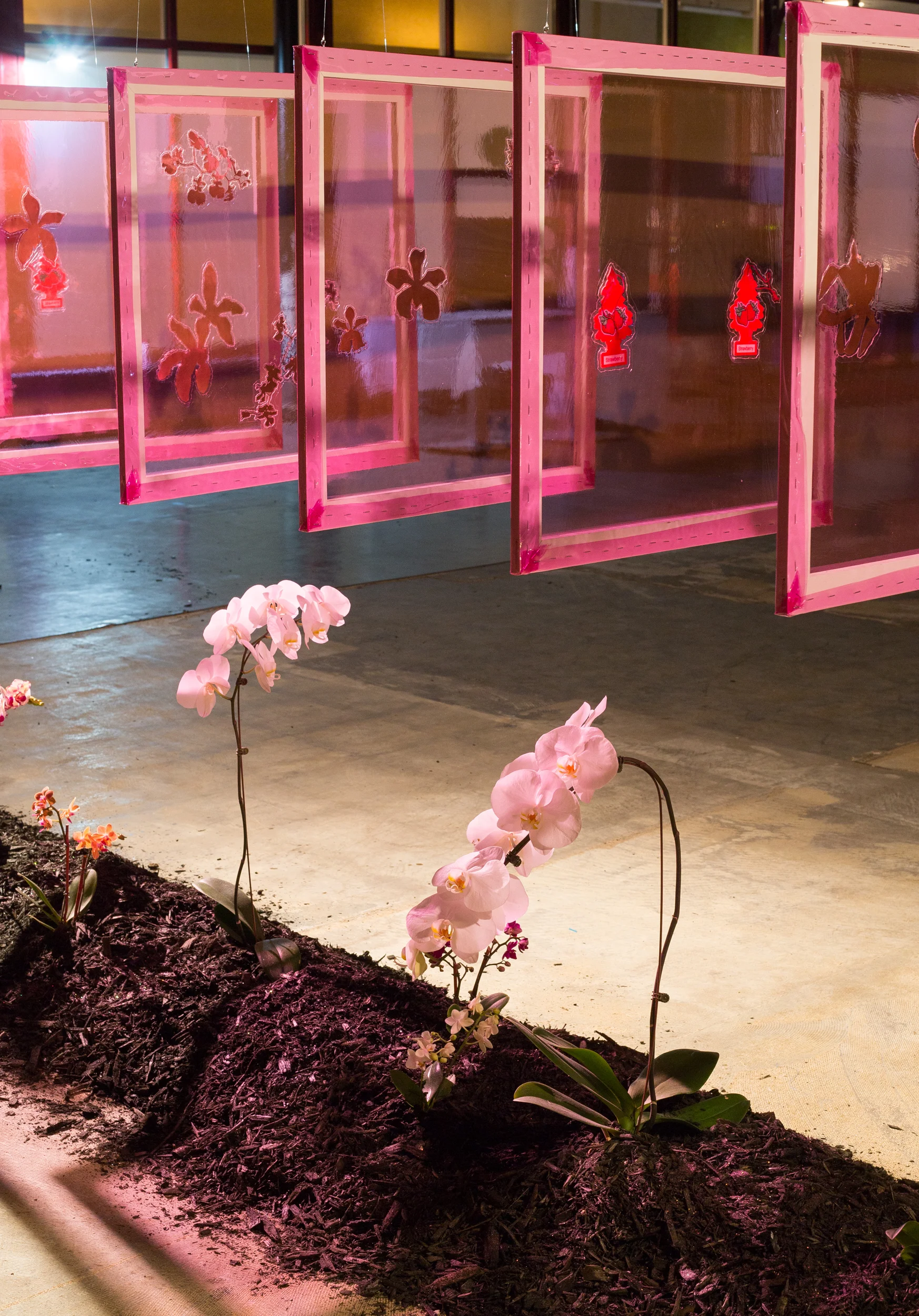  Indoor Culture, 1 - 9, Warehouse Pop-up Space, Denver, CO  photo Matthew Pevear 