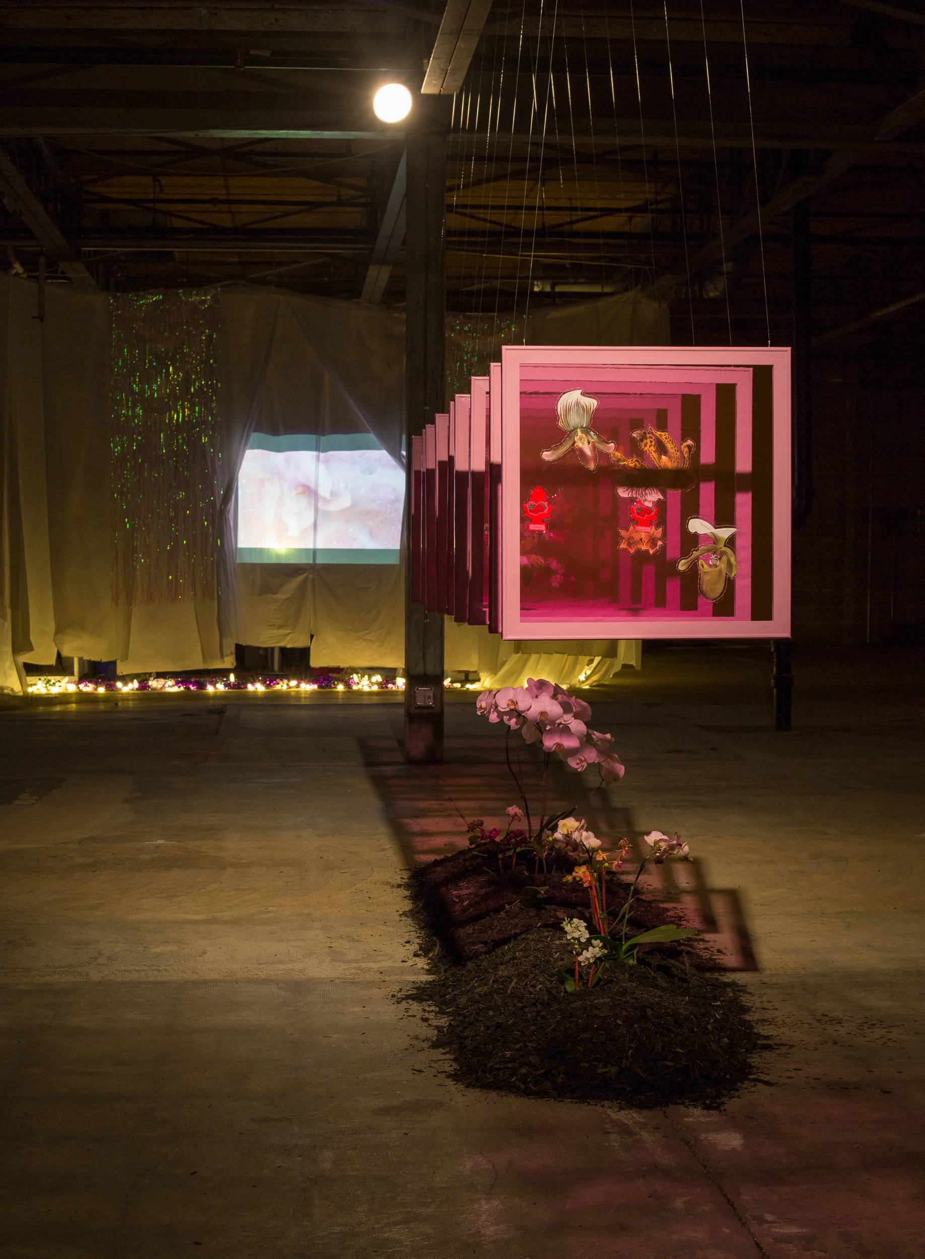  Indoor Culture, 1 - 9, Warehouse Pop-up Space, Denver, CO  photo Matthew Pevear 