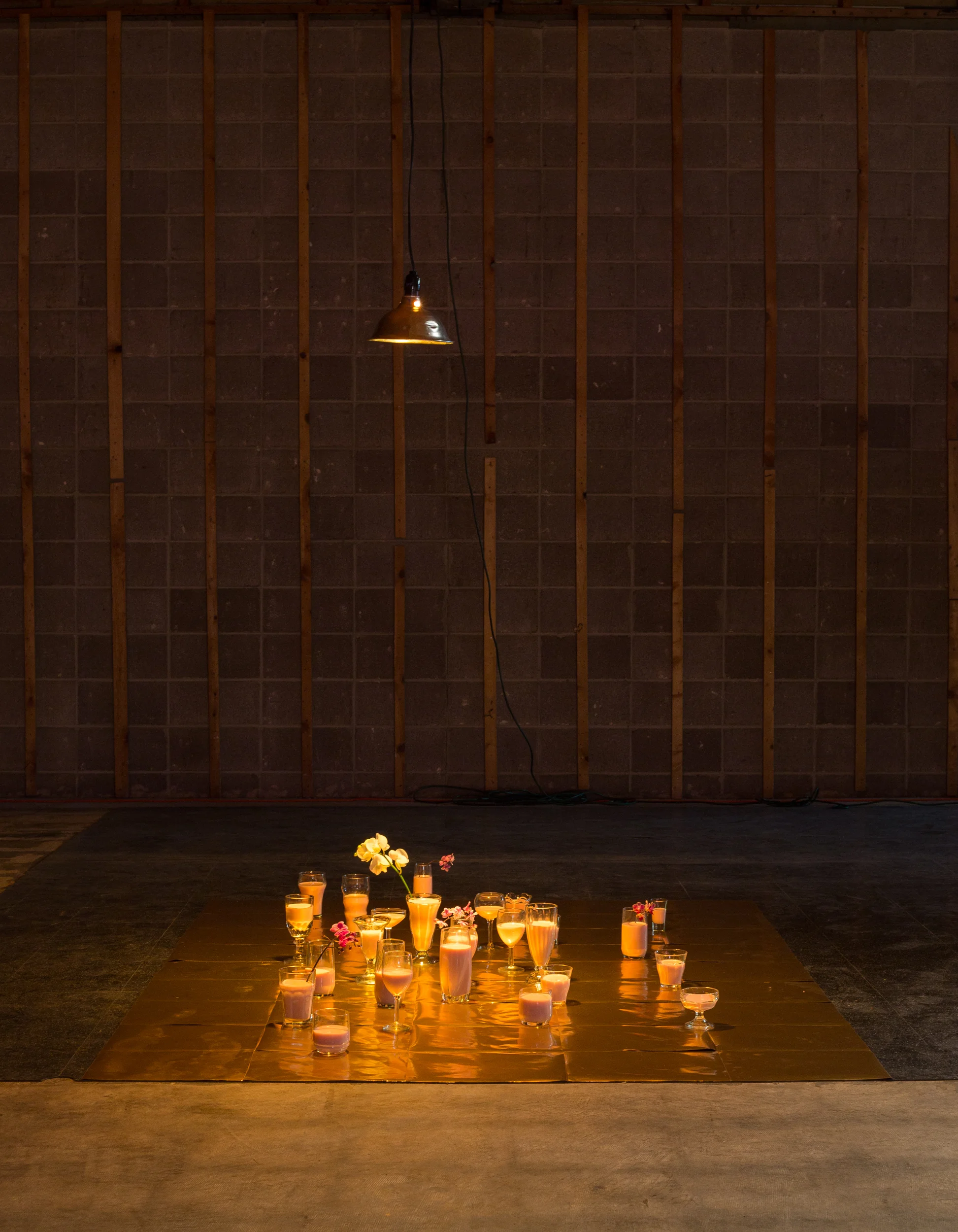  Artificial Selection, Warehouse Pop-up Space, Denver, CO  photo Matthew Pevear 