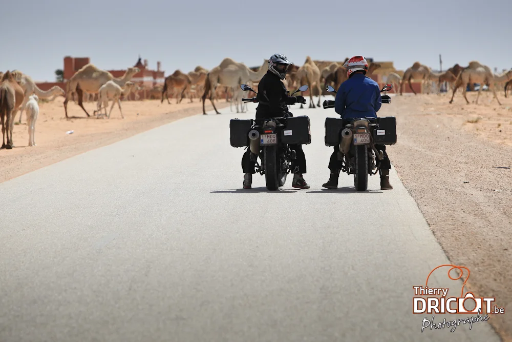 roadtodakar-74.jpg