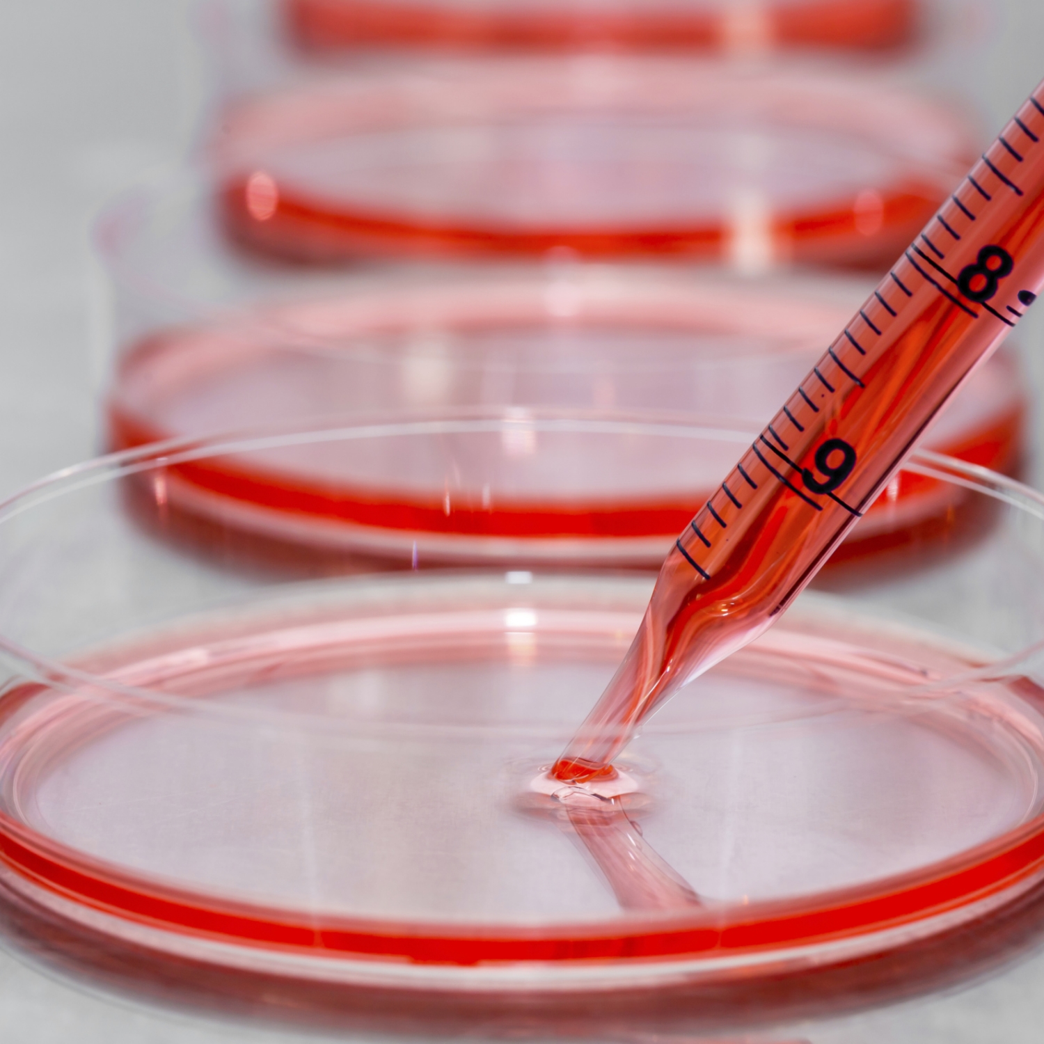 Cell Therapy