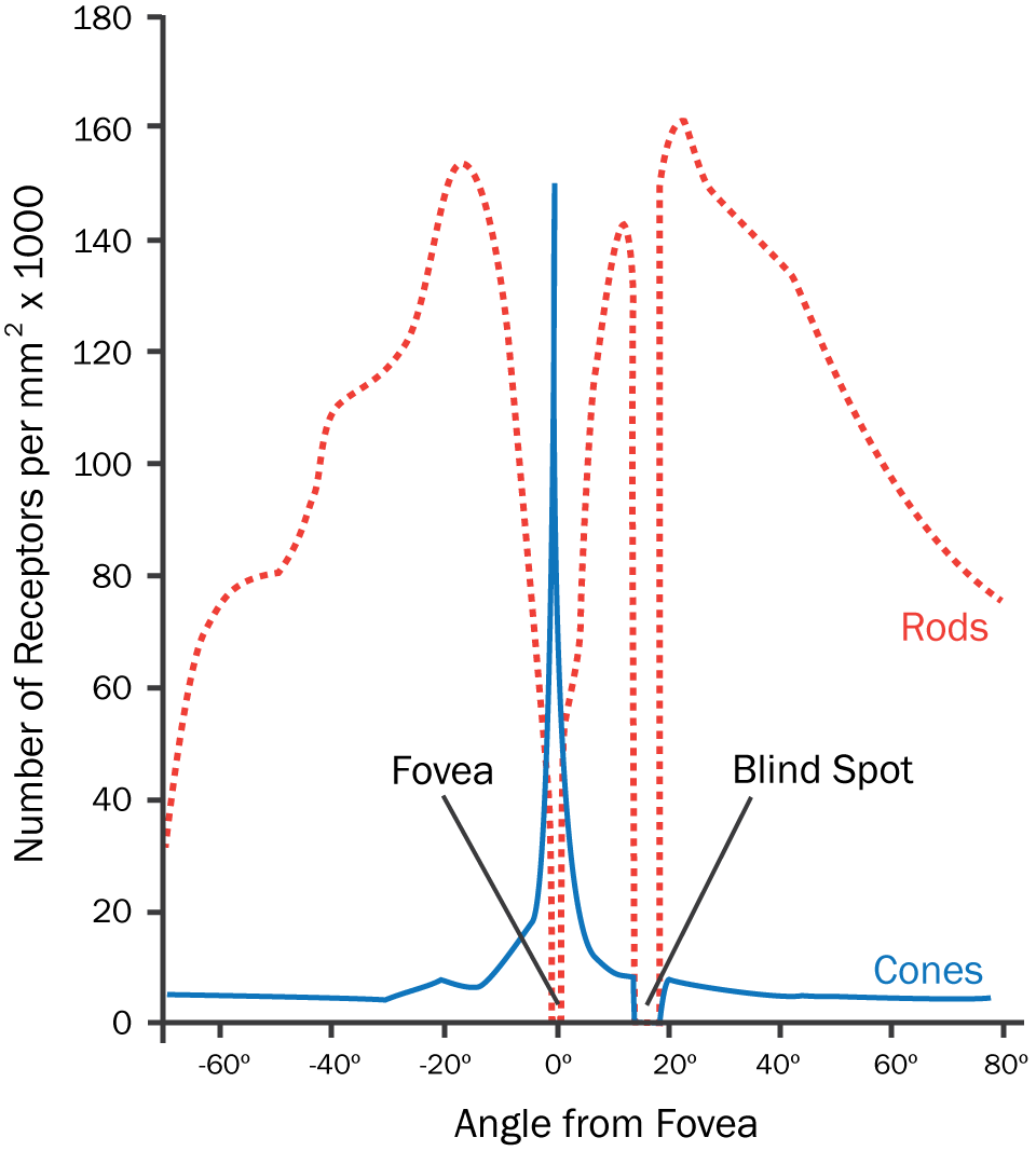 Subtype Distribution