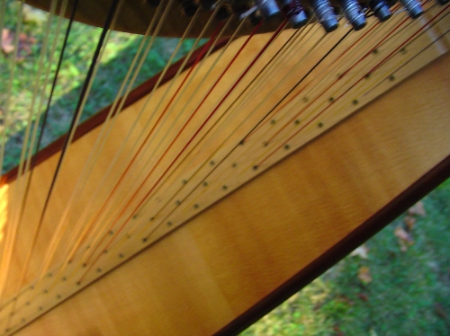 Triple-strung harps