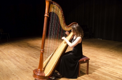 Michigan Harpist