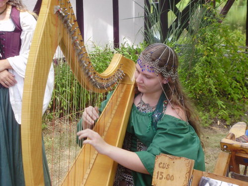 Michigan Harpist