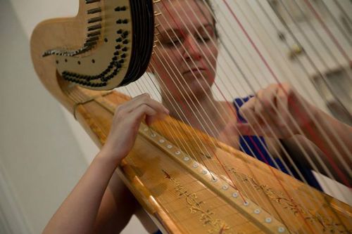 Michigan Harpist