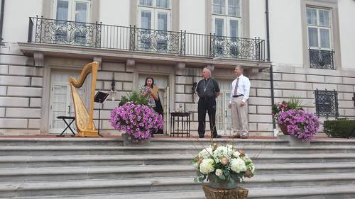 Michigan Harpist