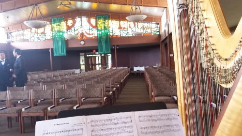 Michigan Harpist