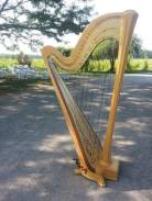 Michigan Harpist