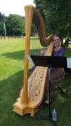 Michigan Harpist