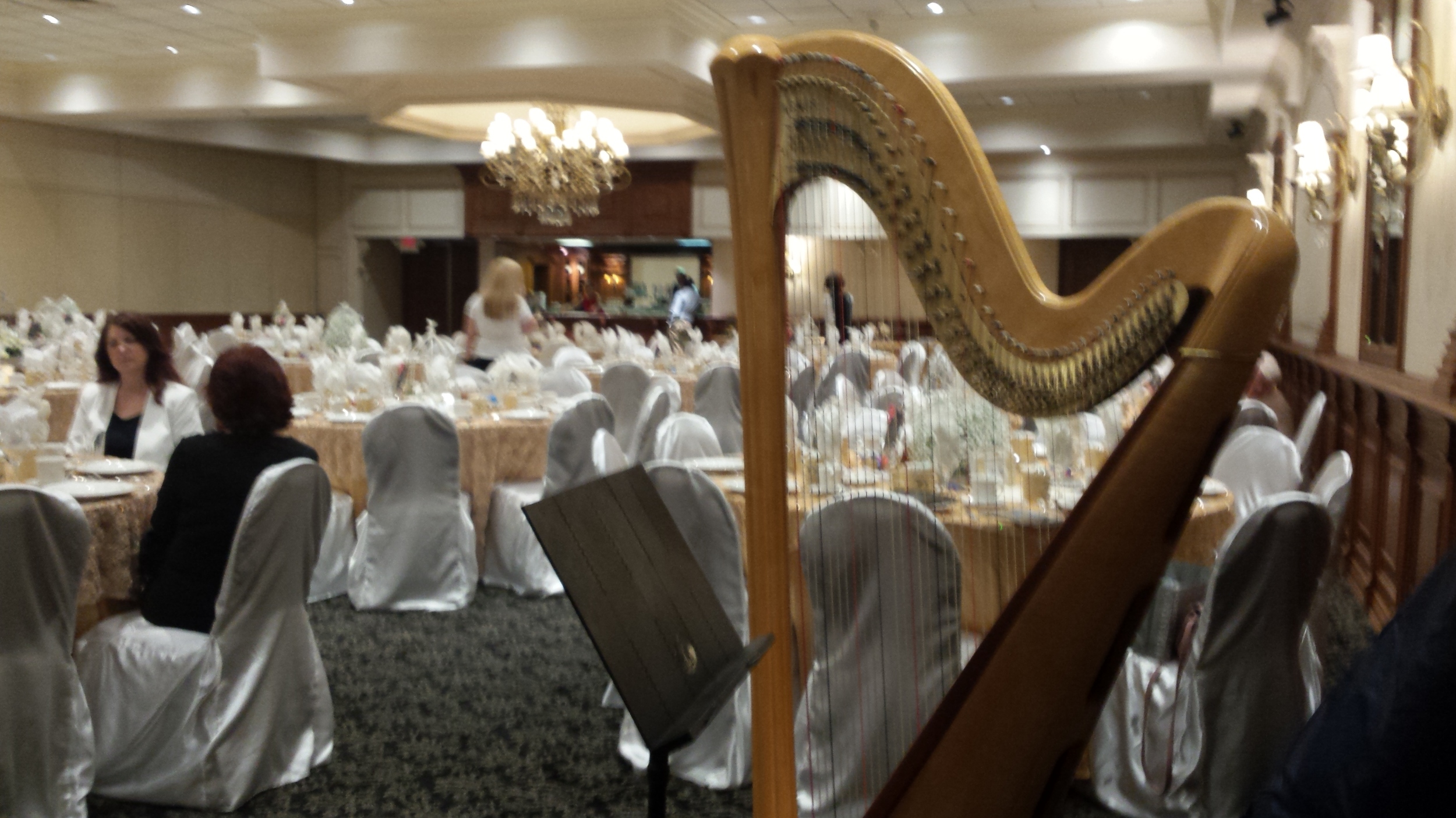 Michigan Harpist