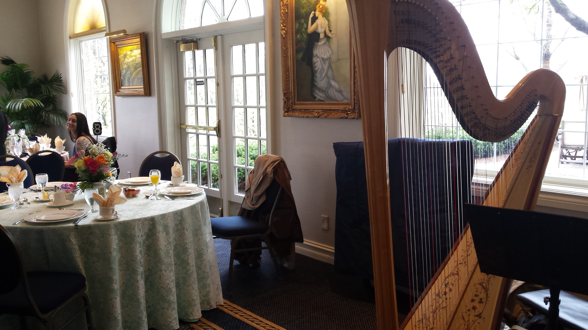 Michigan Harpist