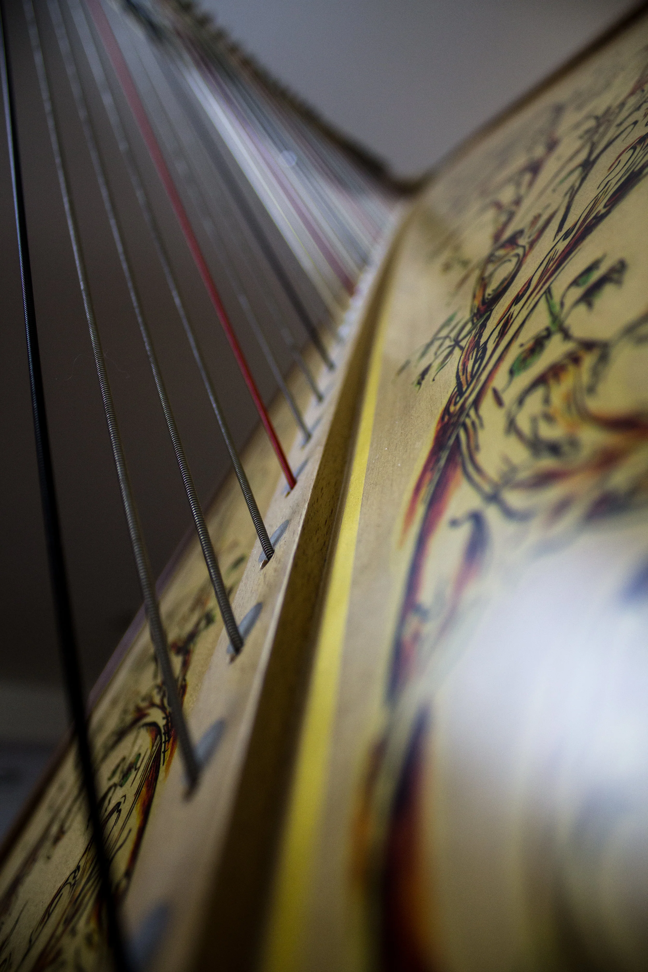 Michigan Harpist