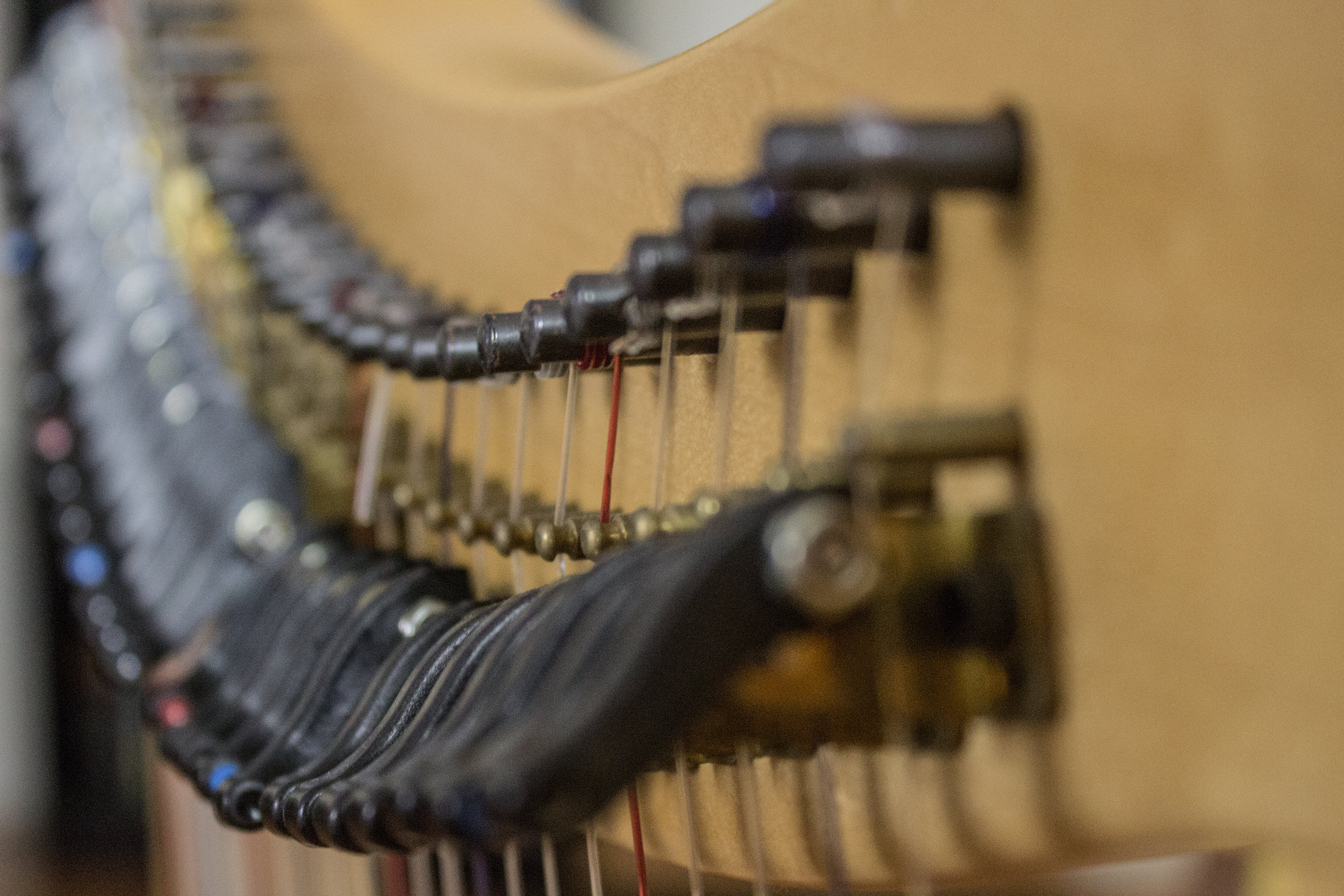 Michigan Harpist