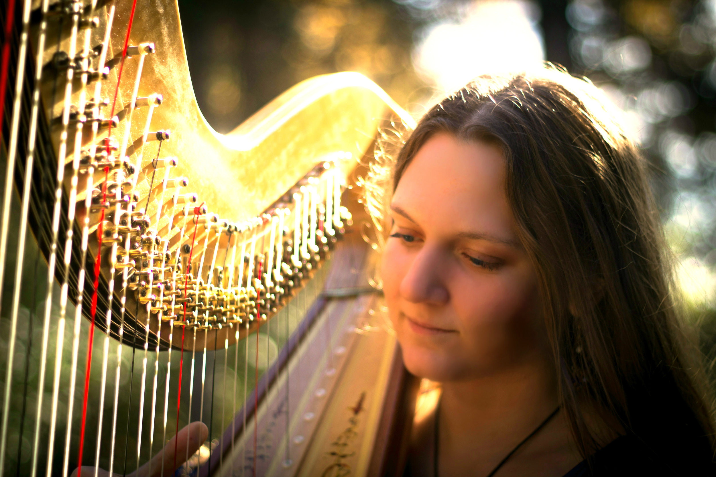 Michigan Harpist