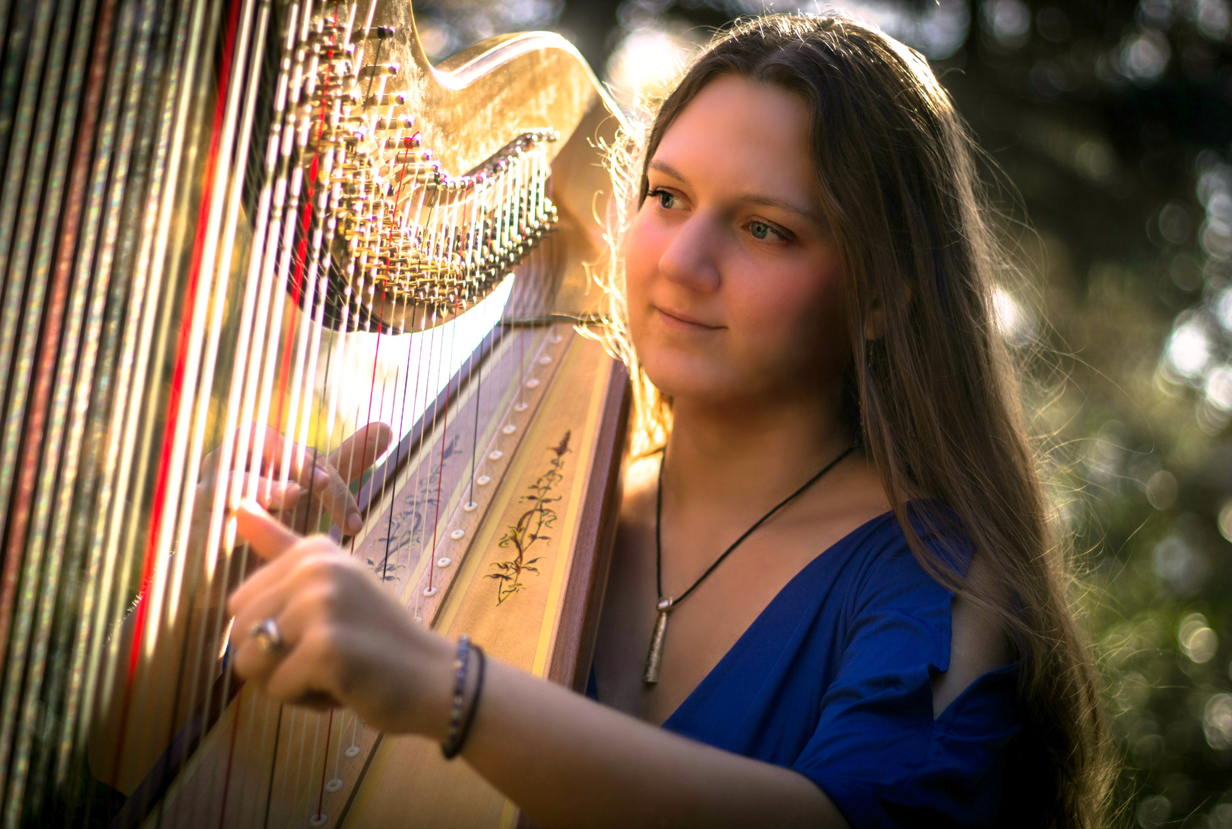 Michigan Harpist