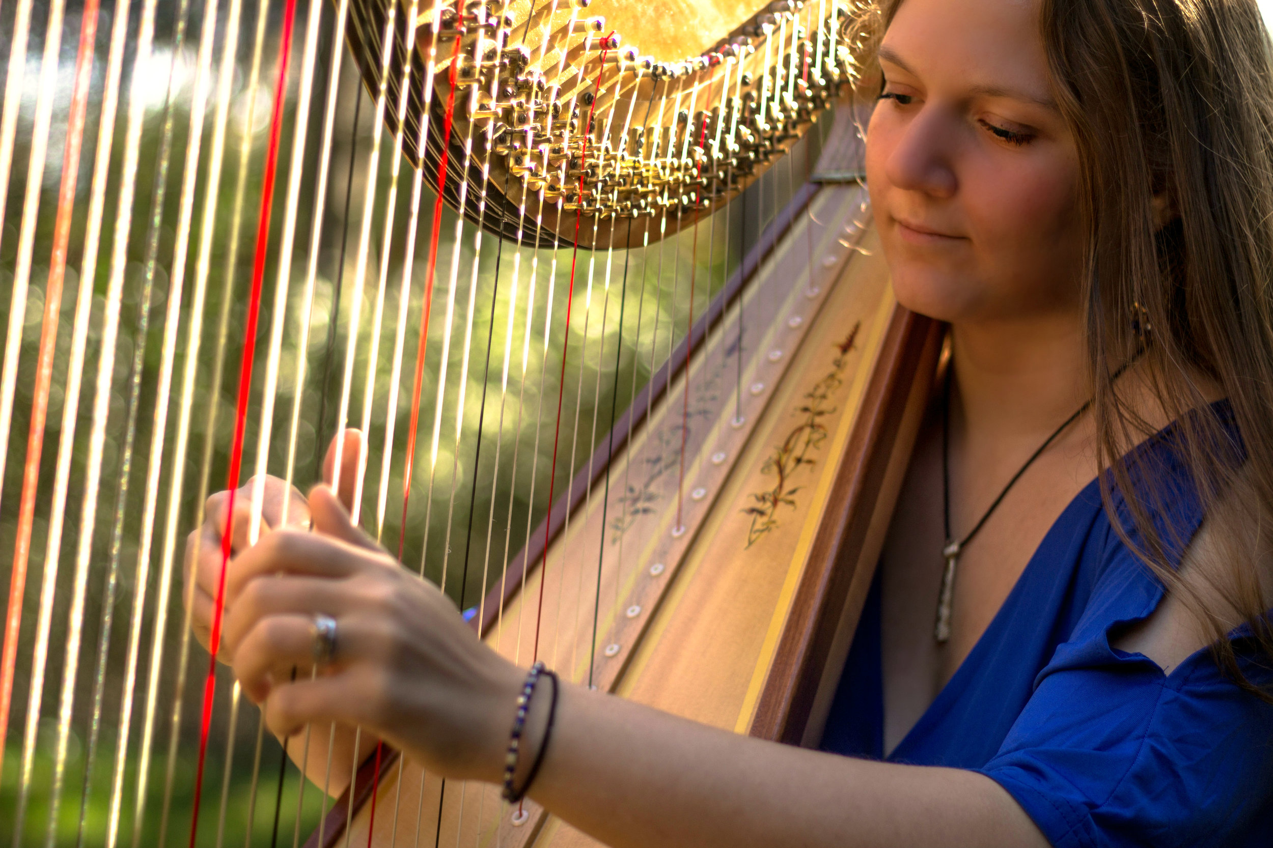 Michigan Harpist