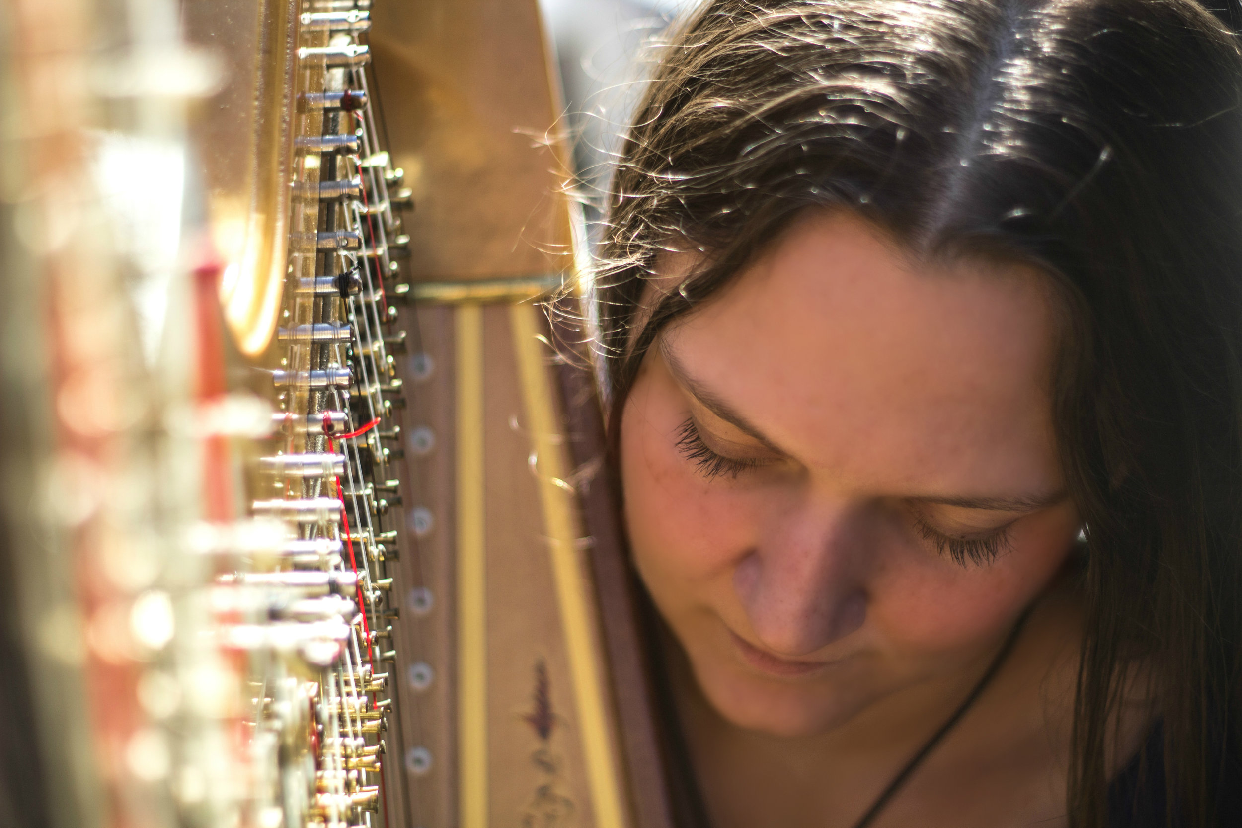 Michigan Harpist