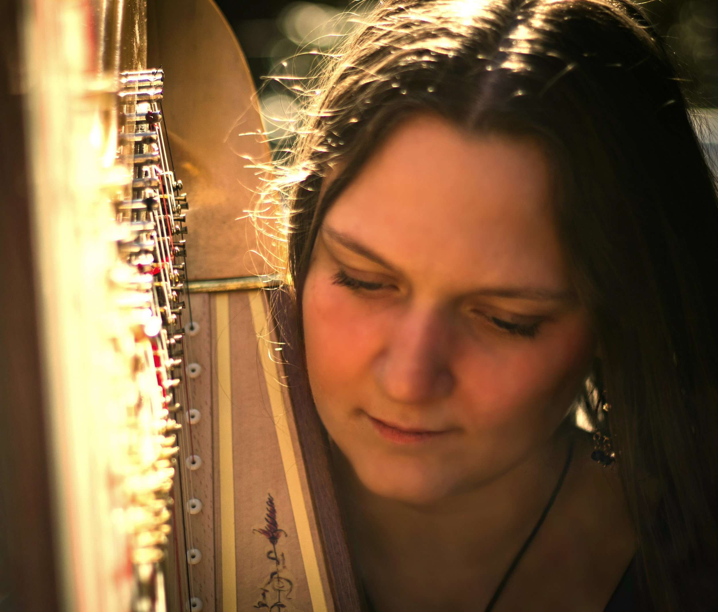 Michigan Harpist